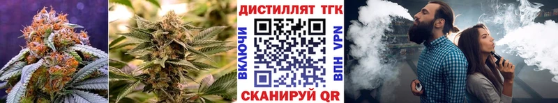 цена наркотик  Фатеж  Дистиллят ТГК гашишное масло 
