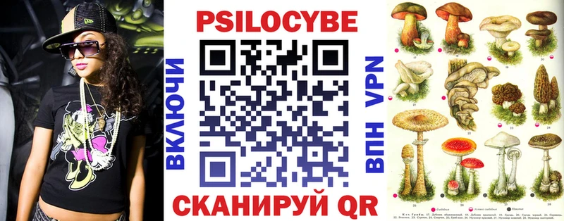 закладка  Фатеж  Галлюциногенные грибы Psilocybine cubensis 